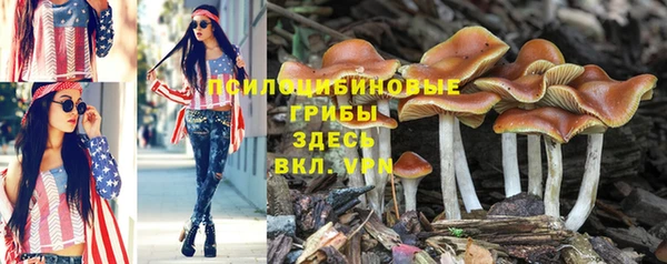 экстази Баксан